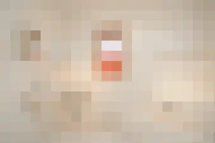 Kruiwiel 18 Geldermalsen thumbnail 22