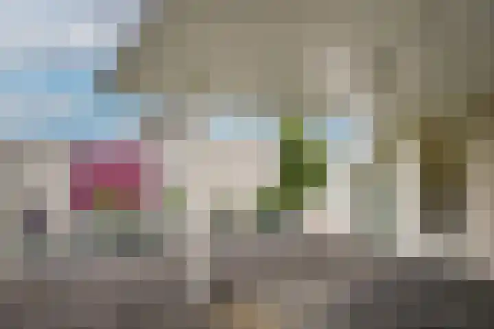 Kruiwiel 18 Geldermalsen thumbnail 32