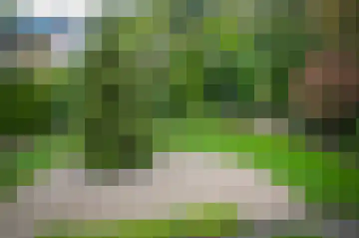 Kruiwiel 18 Geldermalsen thumbnail 33