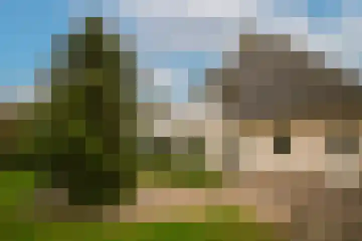 Kruiwiel 18 Geldermalsen thumbnail 43