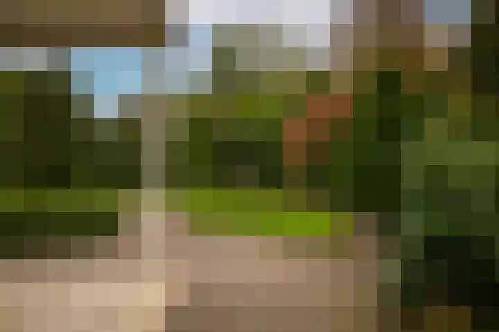 Kruiwiel 18 Geldermalsen thumbnail 44