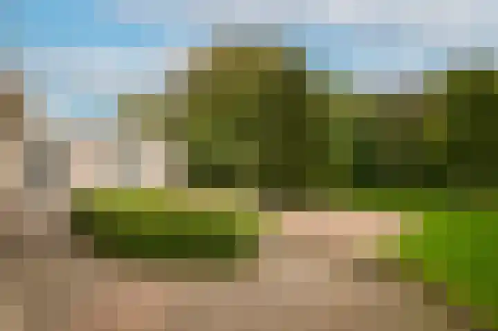 Kruiwiel 18 Geldermalsen thumbnail 47