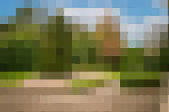 Kruiwiel 18 Geldermalsen thumbnail 48