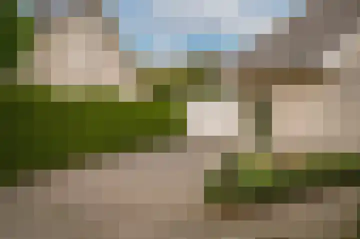 Kruiwiel 18 Geldermalsen thumbnail 51