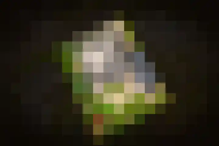 Kruiwiel 18 Geldermalsen thumbnail 54