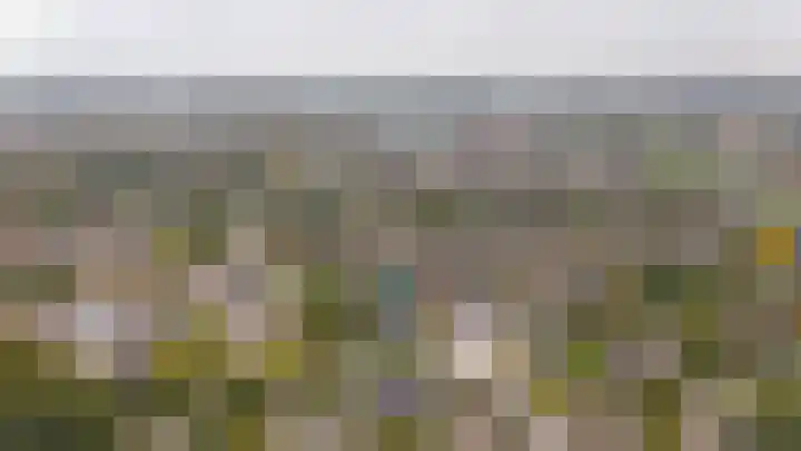 Kruiwiel 18 Geldermalsen thumbnail 56