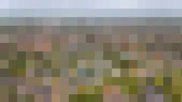 Kruiwiel 18 Geldermalsen thumbnail 57