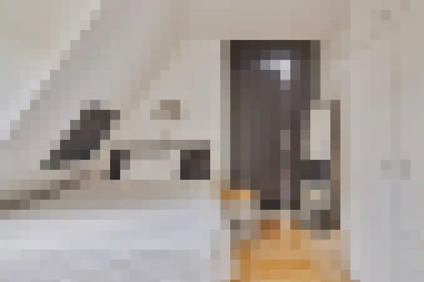 Kruizebroederstraat 25 Sneek thumbnail 15