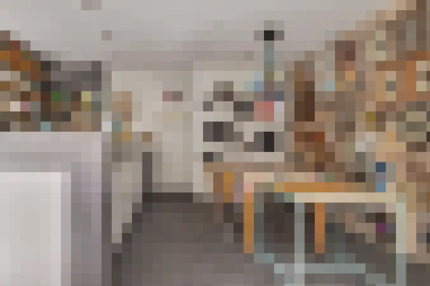 Kruizebroederstraat 25 Sneek thumbnail 28