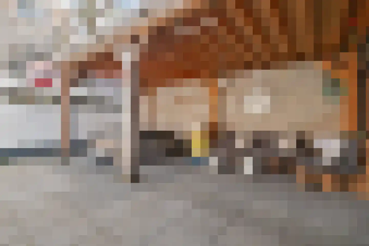 Kruizebroederstraat 25 Sneek thumbnail 30