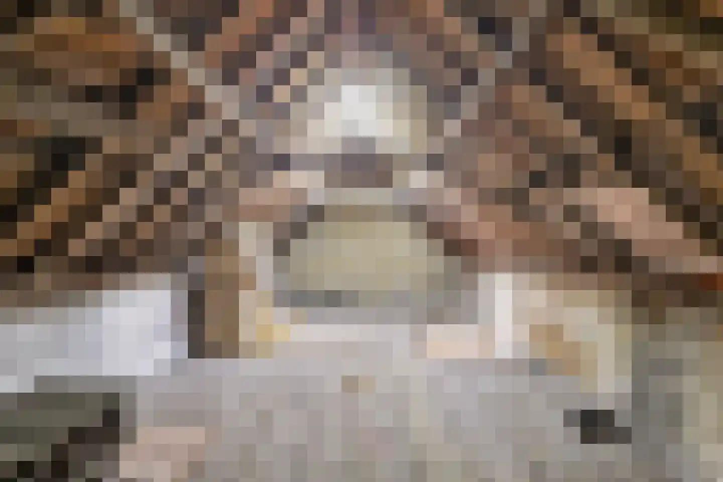 Kruizebroederstraat 25 Sneek thumbnail 37