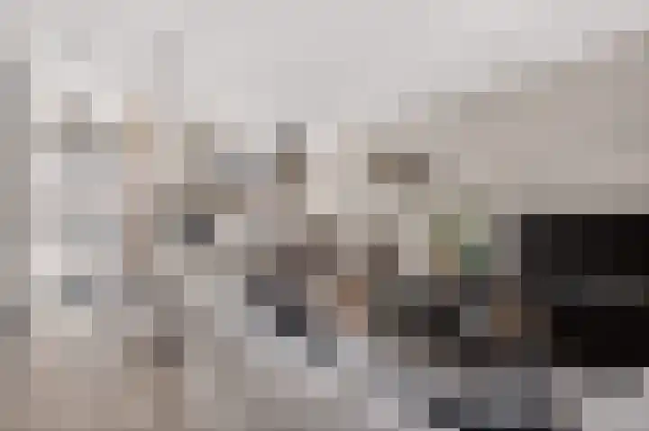 Kruizemunt 1 Vroomshoop thumbnail 10