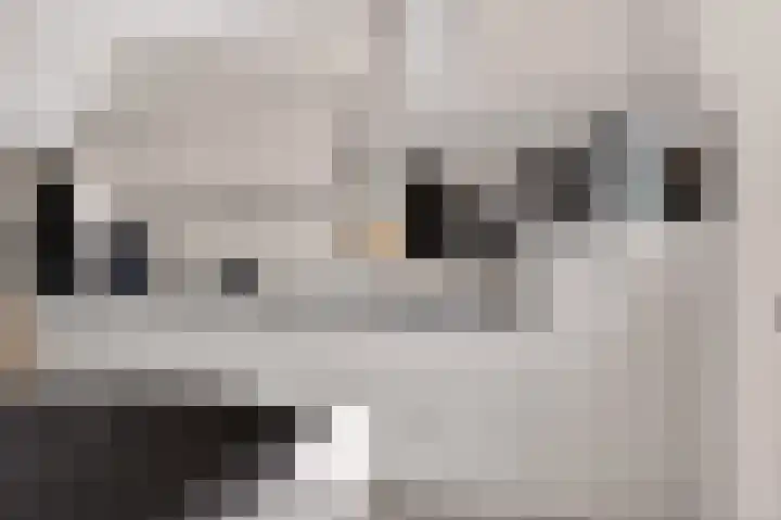 Kruizemunt 1 Vroomshoop thumbnail 11