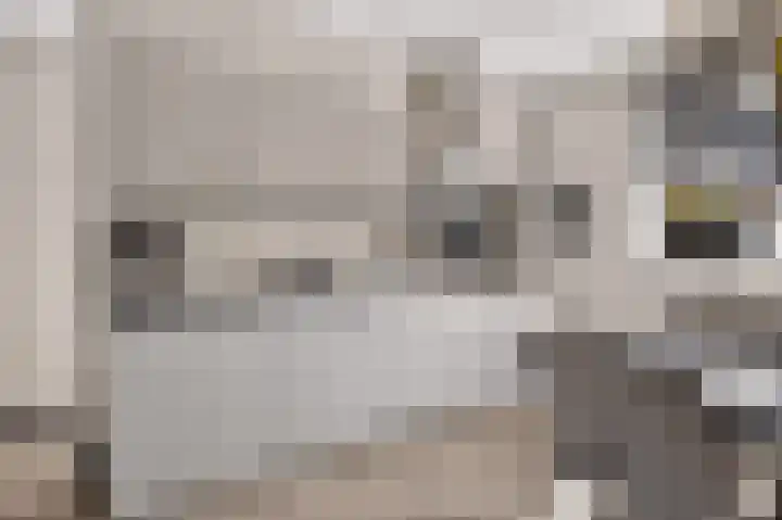 Kruizemunt 1 Vroomshoop thumbnail 12