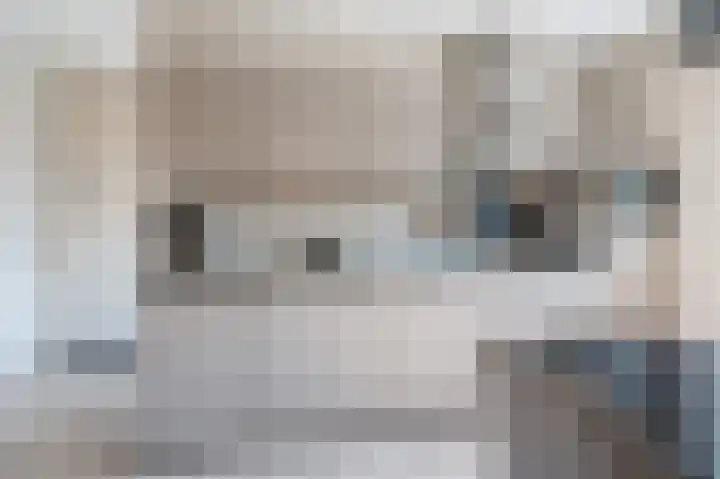 Kruizemunt 1 Vroomshoop thumbnail 14