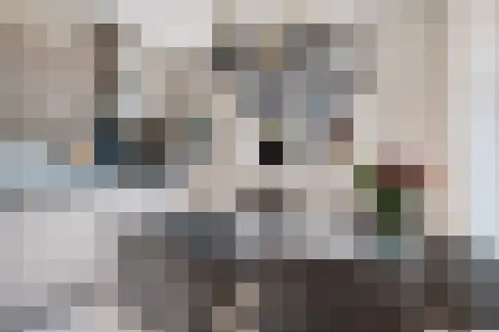 Kruizemunt 1 Vroomshoop thumbnail 16