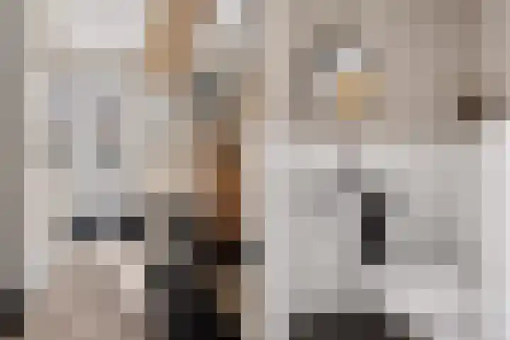 Kruizemunt 1 Vroomshoop thumbnail 17