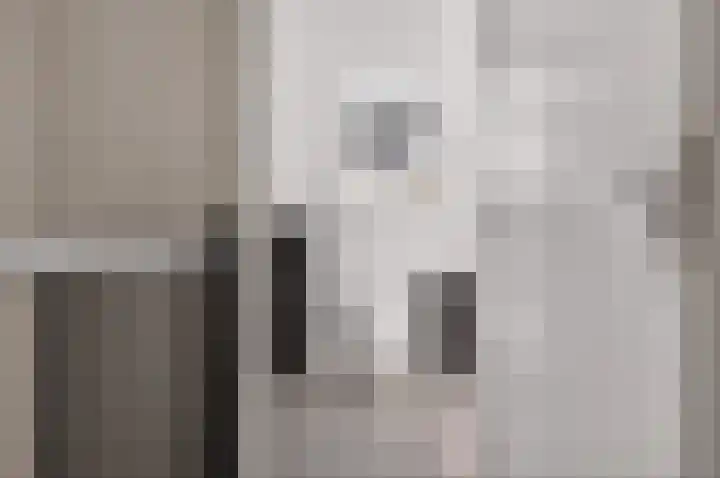 Kruizemunt 1 Vroomshoop thumbnail 19