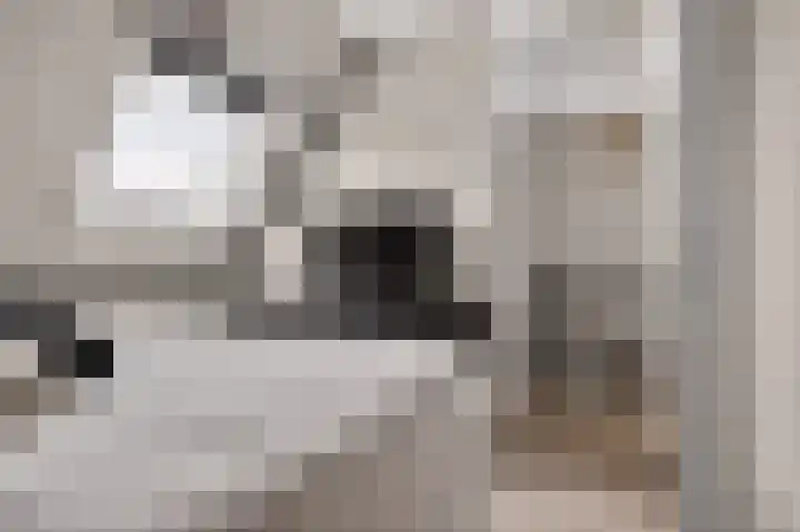 Kruizemunt 1 Vroomshoop thumbnail 22