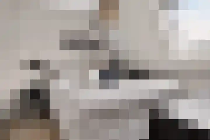 Kruizemunt 1 Vroomshoop thumbnail 23