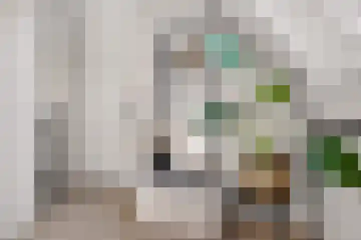 Kruizemunt 1 Vroomshoop thumbnail 24
