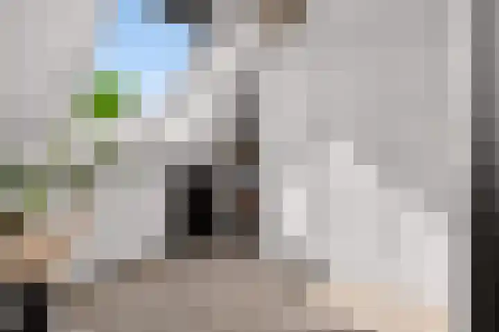 Kruizemunt 1 Vroomshoop thumbnail 25