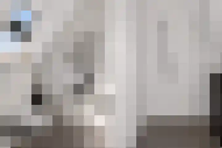 Kruizemunt 1 Vroomshoop thumbnail 26