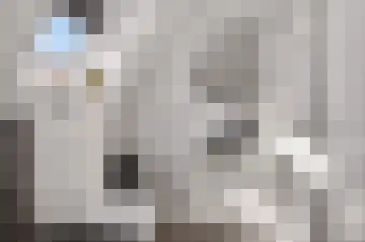 Kruizemunt 1 Vroomshoop thumbnail 28