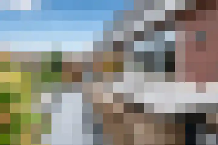 Kruizemunt 1 Vroomshoop thumbnail 29