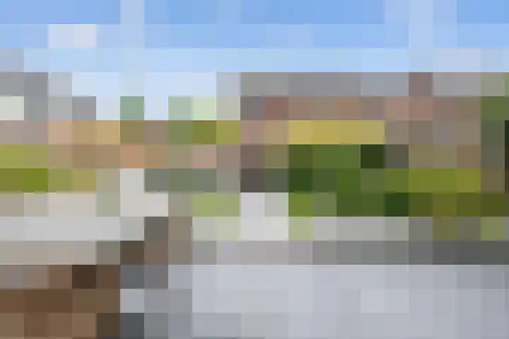 Kruizemunt 1 Vroomshoop thumbnail 30