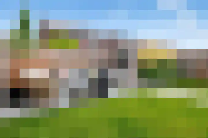 Kruizemunt 1 Vroomshoop thumbnail 31