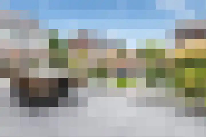 Kruizemunt 1 Vroomshoop thumbnail 34