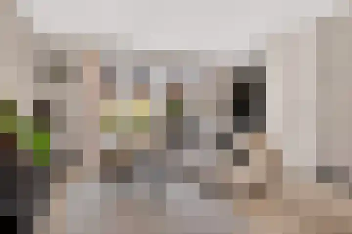 Kruizemunt 1 Vroomshoop thumbnail 5