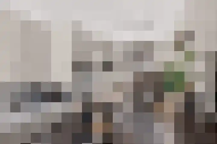 Kruizemunt 1 Vroomshoop thumbnail 8