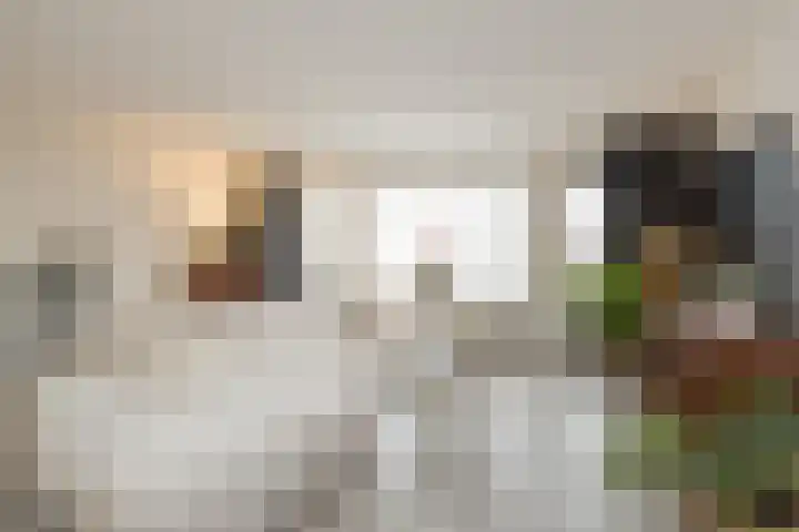 Kruizemunt 13 Noordwijk thumbnail 6