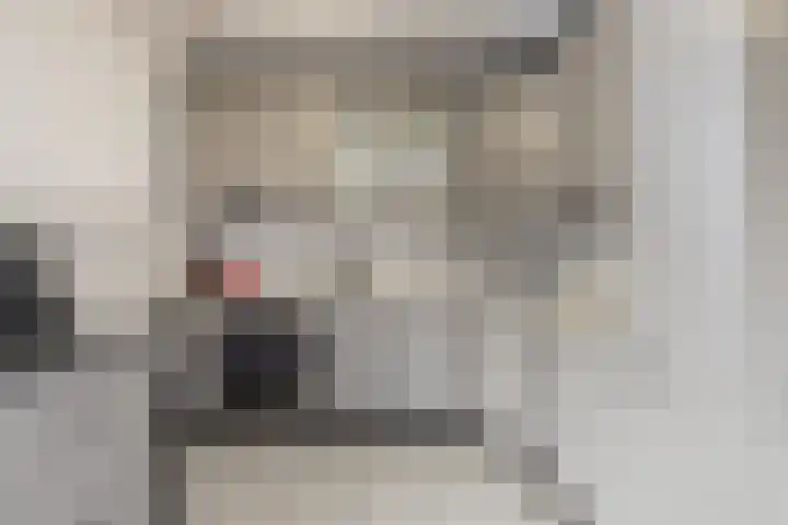 Kruizemunt 13 Noordwijk thumbnail 8
