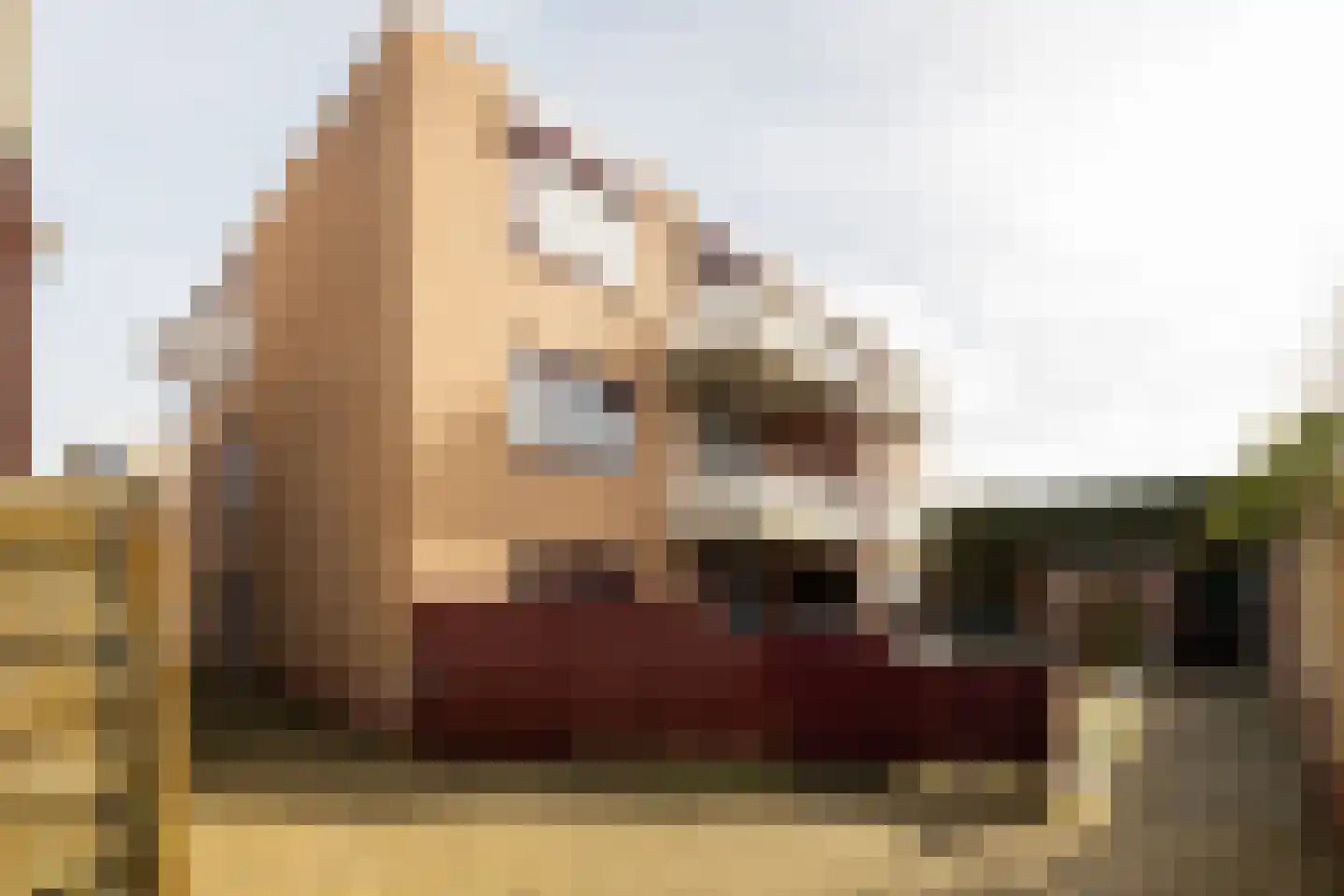 Kruizemunt 15 Noordwijk thumbnail 23