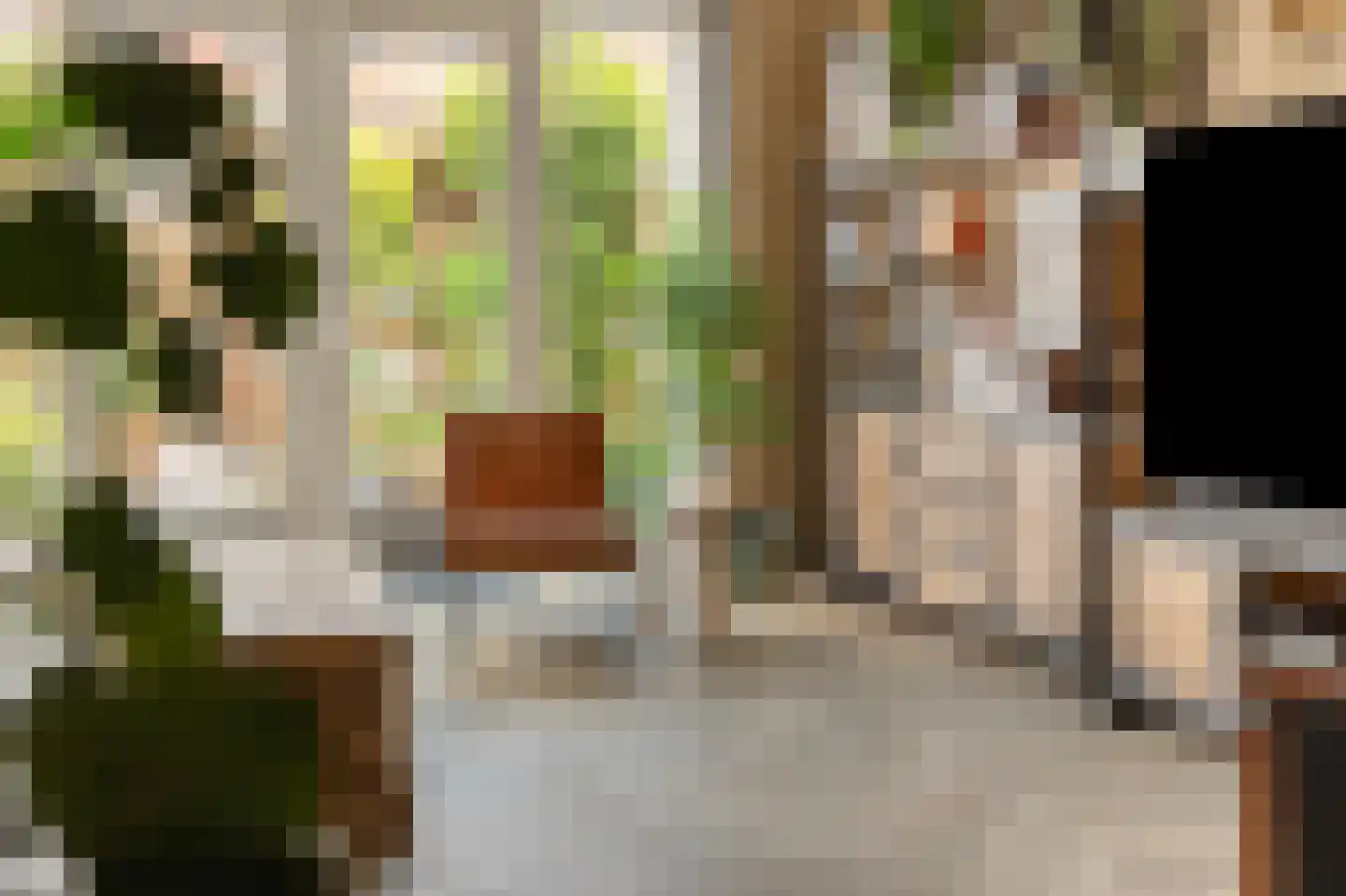 Kruizemunt 24 Numansdorp thumbnail 11