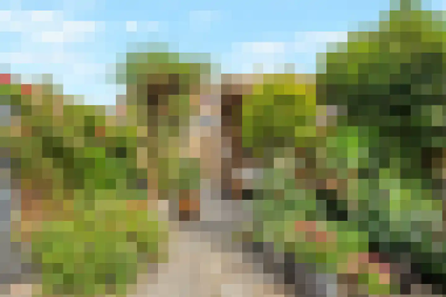 Kruizemunt 24 Numansdorp thumbnail 13