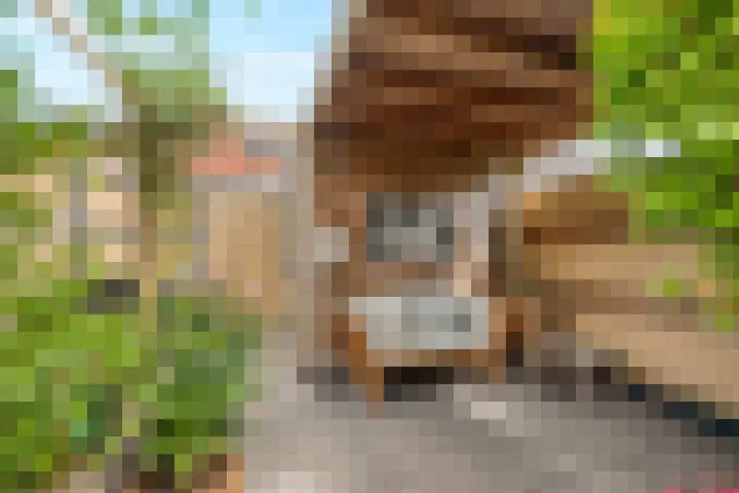 Kruizemunt 24 Numansdorp thumbnail 14