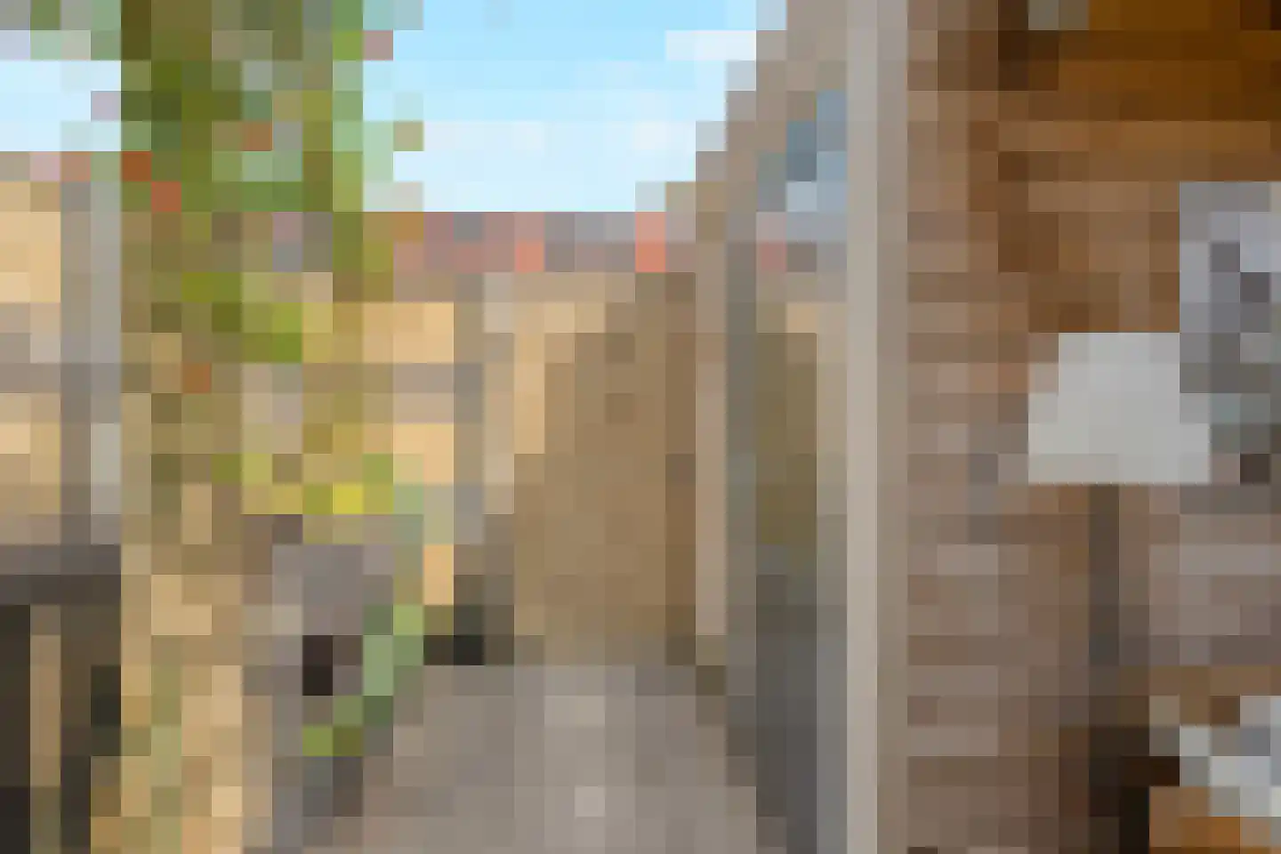 Kruizemunt 24 Numansdorp thumbnail 15