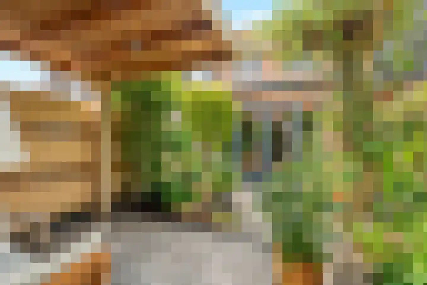 Kruizemunt 24 Numansdorp thumbnail 16