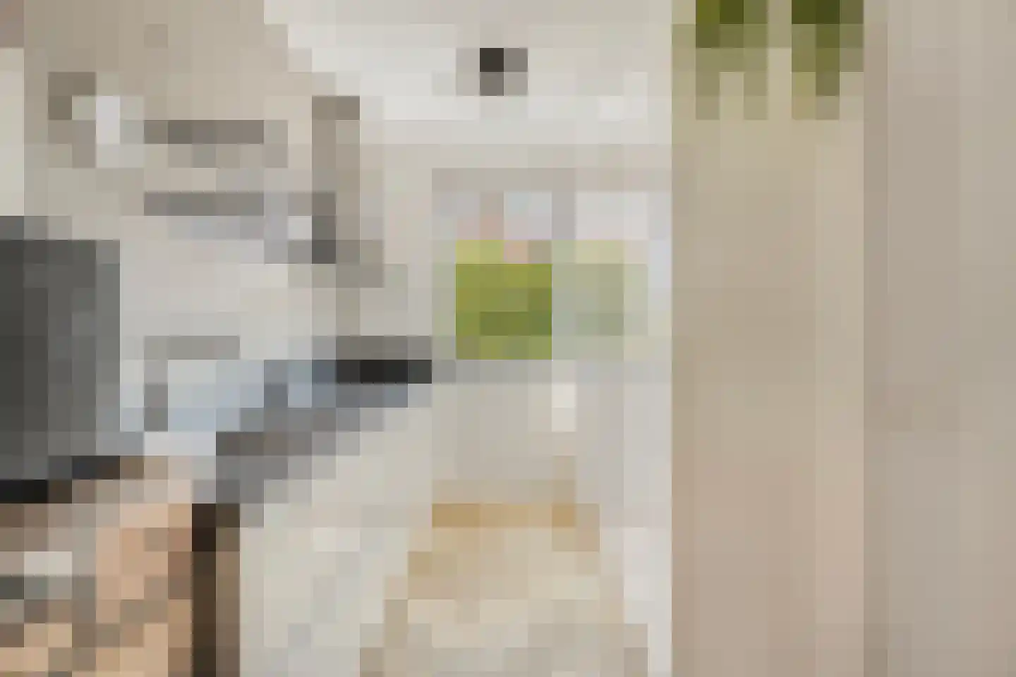 Kruizemunt 24 Numansdorp thumbnail 22