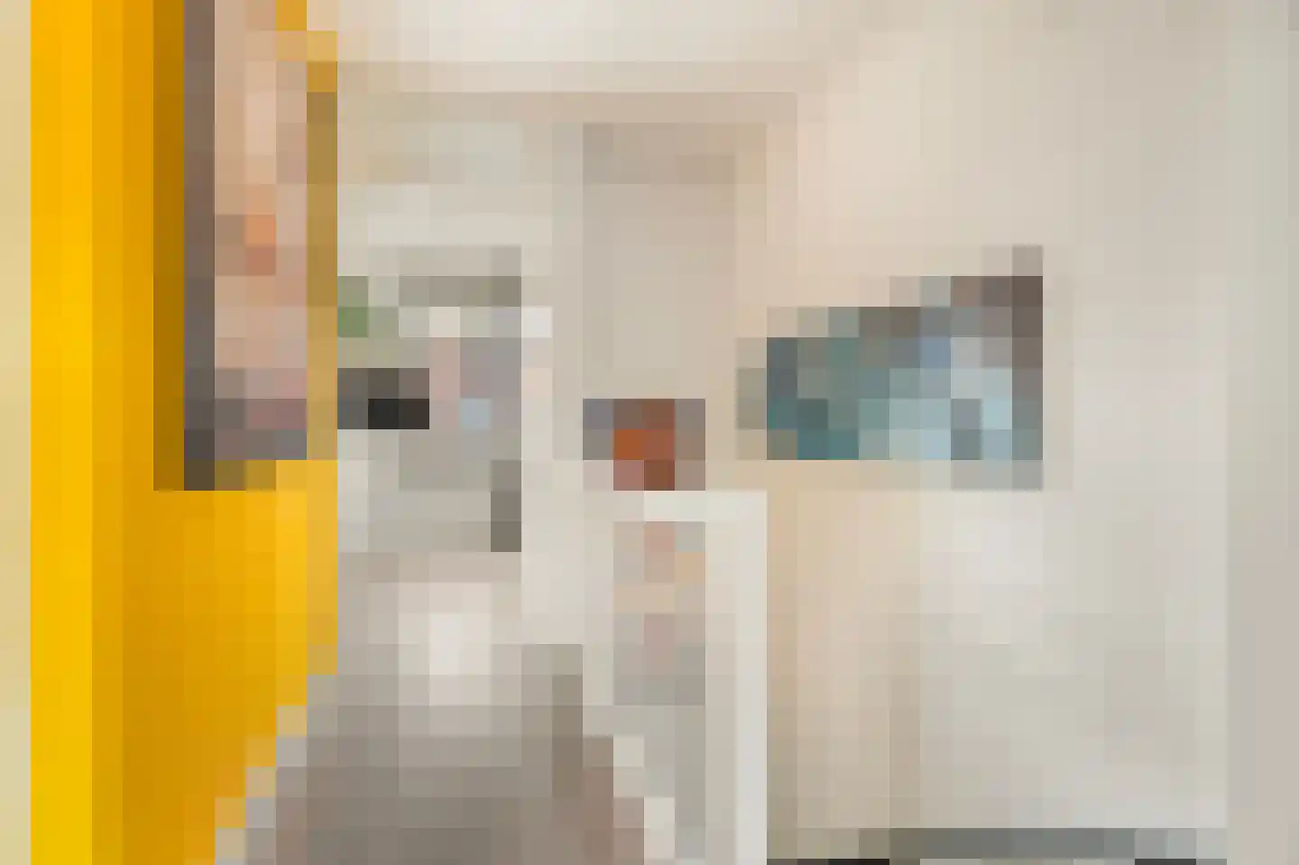 Kruizemunt 24 Numansdorp thumbnail 26