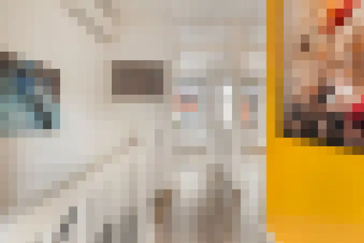 Kruizemunt 24 Numansdorp thumbnail 27