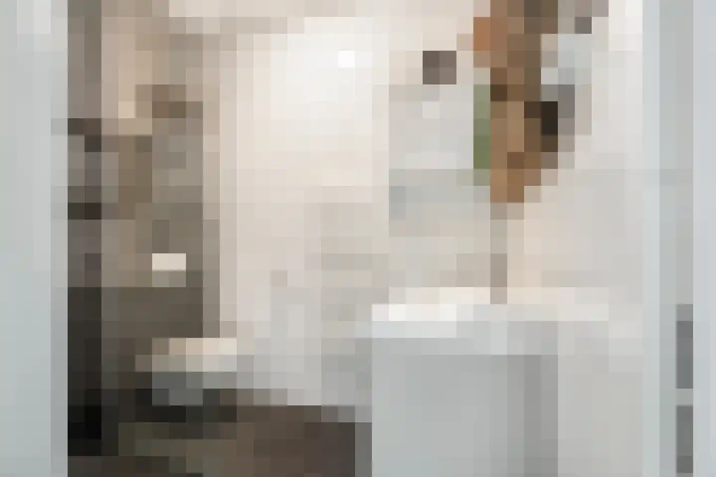 Kruizemunt 24 Numansdorp thumbnail 34