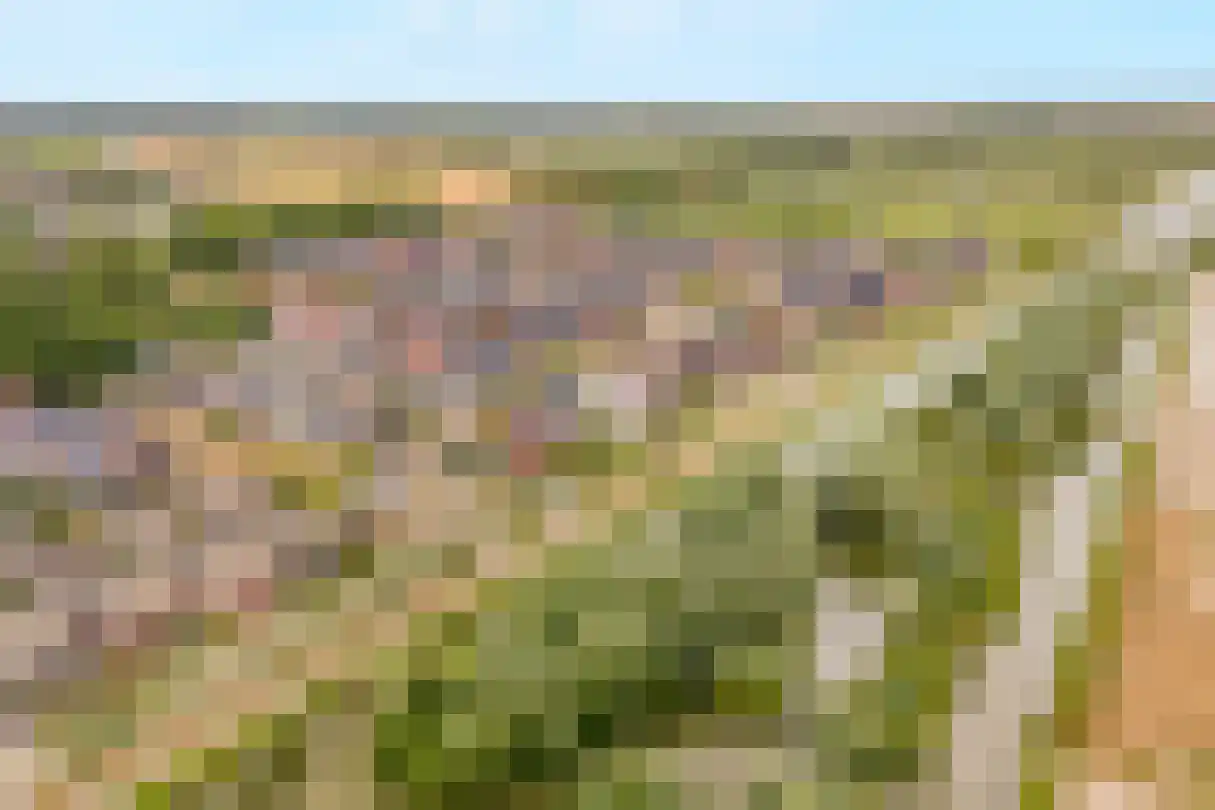 Kruizemunt 24 Numansdorp thumbnail 36