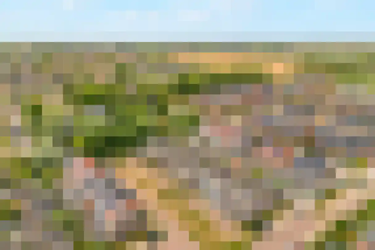 Kruizemunt 24 Numansdorp thumbnail 37
