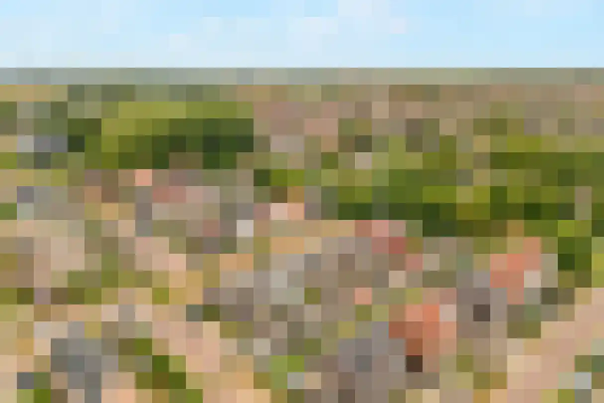 Kruizemunt 24 Numansdorp thumbnail 38