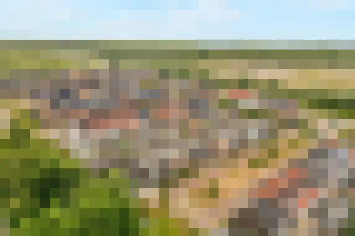 Kruizemunt 24 Numansdorp thumbnail 40